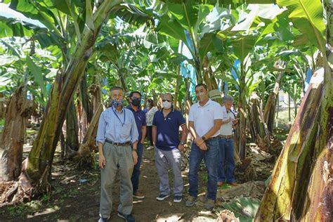 list of banana plantation in davao city